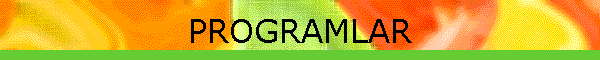 PROGRAMLAR