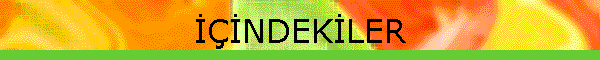 İ�İNDEKİLER